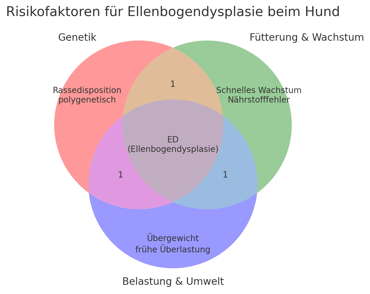 Grafische Übersicht Ursachen Ellenbogengelenksdysplasie